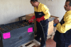 battery regeneration center Egypt